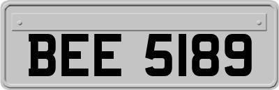 BEE5189