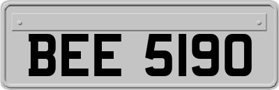 BEE5190