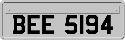 BEE5194