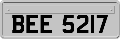 BEE5217