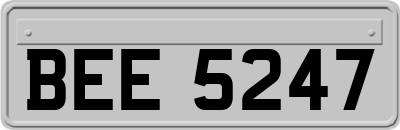 BEE5247