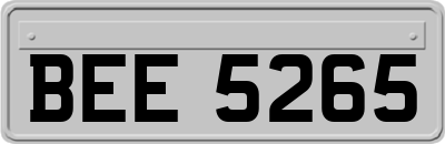 BEE5265