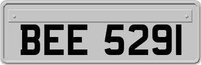 BEE5291