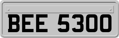 BEE5300