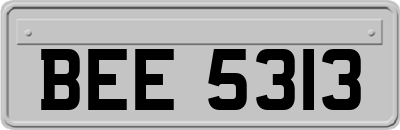 BEE5313