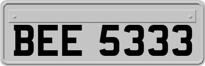 BEE5333