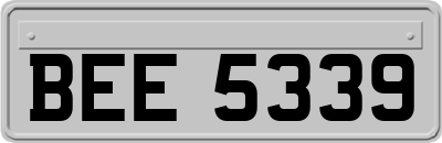 BEE5339