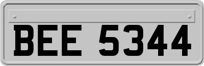 BEE5344