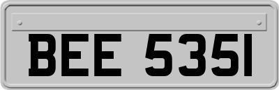 BEE5351