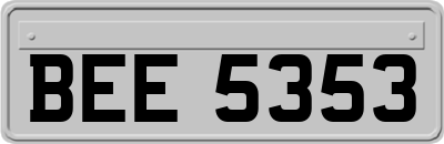 BEE5353