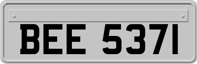 BEE5371