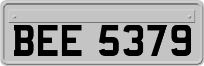 BEE5379