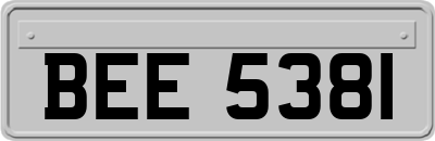 BEE5381