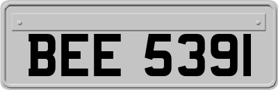 BEE5391