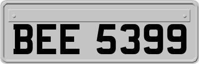 BEE5399