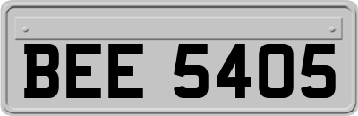 BEE5405