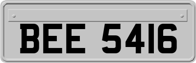 BEE5416