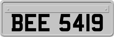 BEE5419