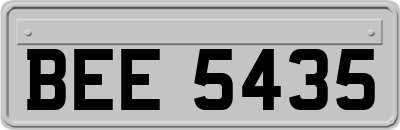 BEE5435