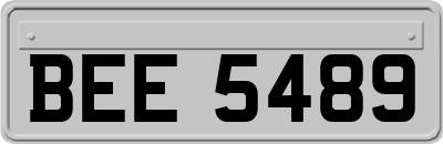 BEE5489