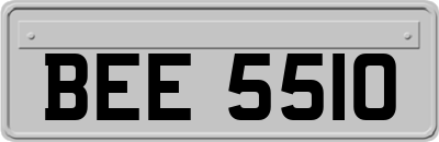 BEE5510