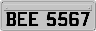 BEE5567