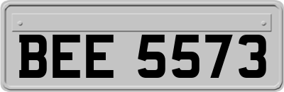 BEE5573