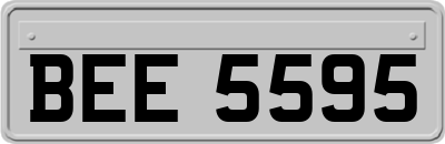 BEE5595