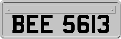 BEE5613