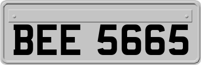 BEE5665