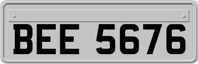 BEE5676