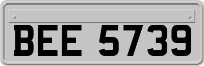 BEE5739