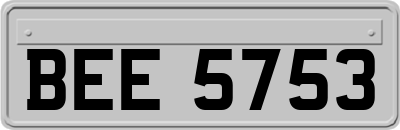 BEE5753