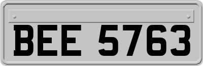 BEE5763