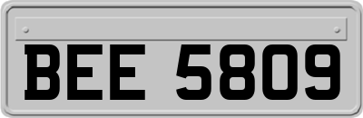 BEE5809