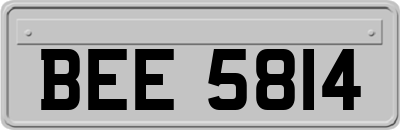 BEE5814