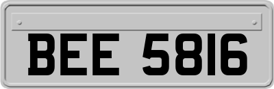 BEE5816