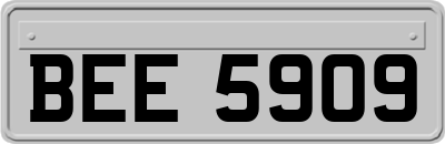 BEE5909