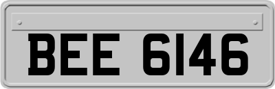 BEE6146