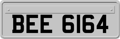 BEE6164