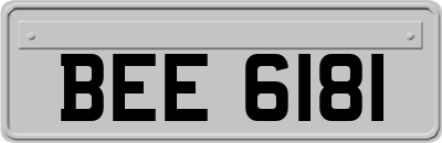 BEE6181