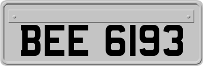 BEE6193