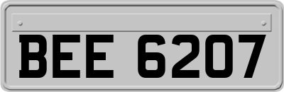 BEE6207