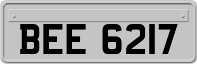 BEE6217