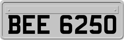 BEE6250