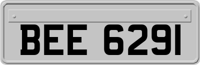 BEE6291