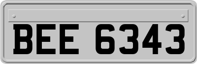 BEE6343