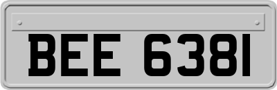 BEE6381