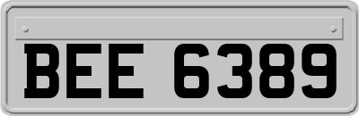 BEE6389