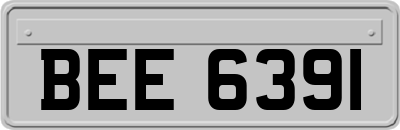 BEE6391